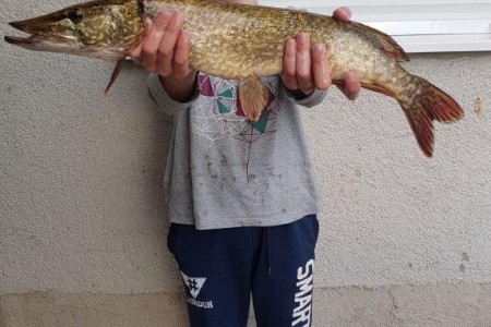 Roko Dejanović, učenik četvrtog razreda osnovne škole , ulovio ribu s kojom bi se  stariji itekako  ponosili