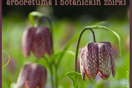 Pred nama je poslastica za ljubitelje prirode: “Tjedan botaničkih vrtova, arboretuma i botaničkih zbirki Hrvatske”