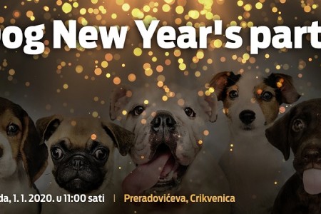Zanimljivo: povedite svoje pse na doček Nove godine za pse i vlasnike u Crikvenici!