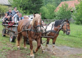 Poučna staza od Kruškovca prema Ziru 02