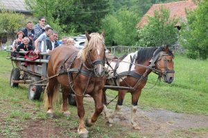 Poučna staza od Kruškovca prema Ziru 02