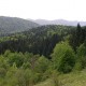 LAG Lika poziva