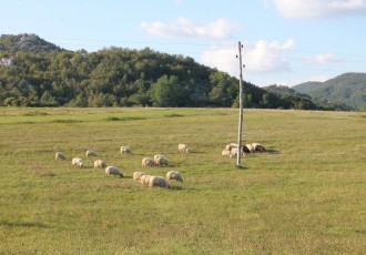 Hoće li se konačno ličko janje jesti na Plitvicama?