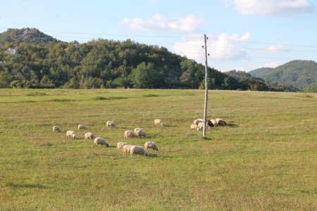 Hoće li se konačno ličko janje jesti na Plitvicama?