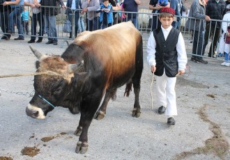 Večeras o stočarstvu u Lici i Dalmaciji