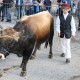 Večeras o stočarstvu u Lici i Dalmaciji