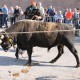 Kreće udruživanje ličkih uzgajivača goveda