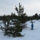 Zona gradske sramote