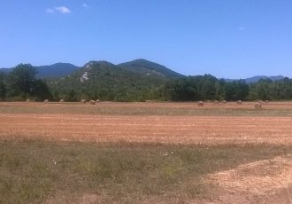 Vlajčić pred ministrima EU-a: Suša je uzela urod, ne smije i potpore