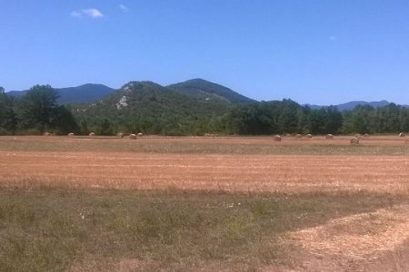 Vlajčić pred ministrima EU-a: Suša je uzela urod, ne smije i potpore