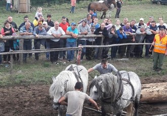 U nedjelju 17.rujna šlajs u Krivome putu i koševina kod Brnje i Jure Turine