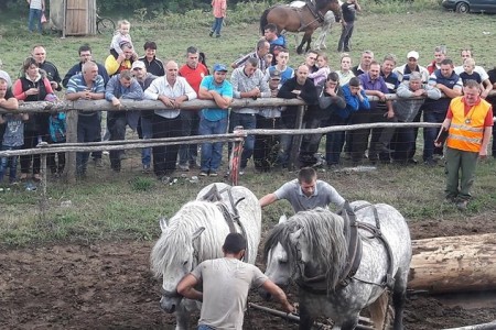 U nedjelju 17.rujna šlajs u Krivome putu i koševina kod Brnje i Jure Turine