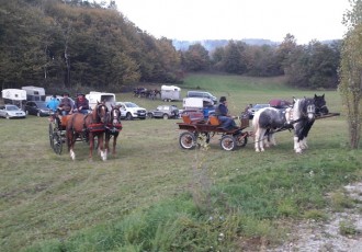 Iako mu Konjički  klub Ana u Senju nema prostora, Senjanin Jure Turina na natjecanju u Sloveniji “potukao” konkurenciju