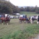 Iako mu Konjički  klub Ana u Senju nema prostora, Senjanin Jure Turina na natjecanju u Sloveniji “potukao” konkurenciju
