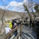 Turistička sezona smanjuje broj nezaposlenih!!!