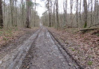 U subotu 21.travnja akcija “Zelena čistka” u Jasikovcu! Dođite!