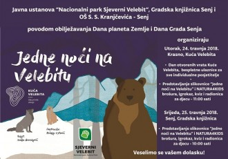 Sutra u Krasnu, a u srijedu u Senju predstavljanje slikovnice “Jedne noći na Velebitu”!