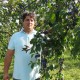 LIJEPA PRIČA: Dragan Šop, voćar iz Ličkog Osika ubrat će oko 25 tona šljiva!!!