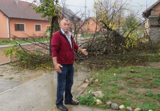 Čija je ono lipa??? U Bilajskoj ulici odsječena lipa, navodno privatna!!!!