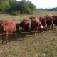 Isplata prve rate krenula dva dana ranije