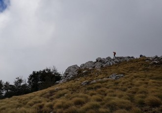 Avanturom života u Hrvatskoj otkrij ljepote surove divljine kroz dva Nacionalna parka: Sjeverni Velebit i Paklenicu