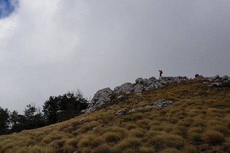 Avanturom života u Hrvatskoj otkrij ljepote surove divljine kroz dva Nacionalna parka: Sjeverni Velebit i Paklenicu