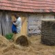 “Farmer iz Vrepca” osam godina ne može ostvariti svoj plan i san, ali ipak ne odustaje