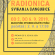 Radionica sviranja dangubice