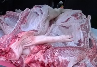 Afrička svinjska kuga potvrđena u Srbiji – u Hrvatskoj na snazi preventivne mjere