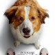 Ovaj tjedan u kinu Korzo gledajte film “Putovanje jednog psa”!