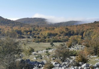 Porast broja posjetitelja i novi projekti u Pećinskom parku Grabovača