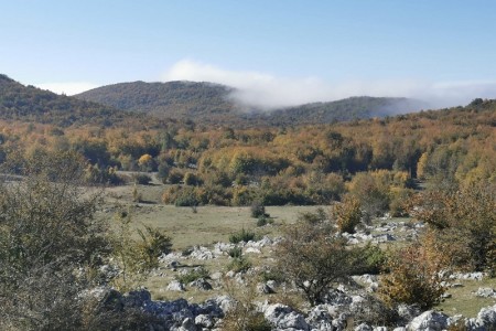 Porast broja posjetitelja i novi projekti u Pećinskom parku Grabovača
