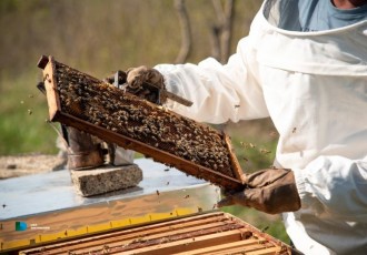 Za Božić kupujte i darujte tradicionalne, zdrave i fine domaće proizvode sustava Lika quality