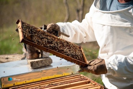 Za Božić kupujte i darujte tradicionalne, zdrave i fine domaće proizvode sustava Lika quality