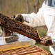 Za Božić kupujte i darujte tradicionalne, zdrave i fine domaće proizvode sustava Lika quality