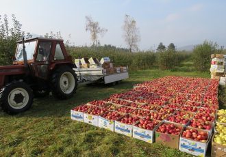 Rast vrijednosti poljoprivredne proizvodnje na gotovo 19 mlrd kuna