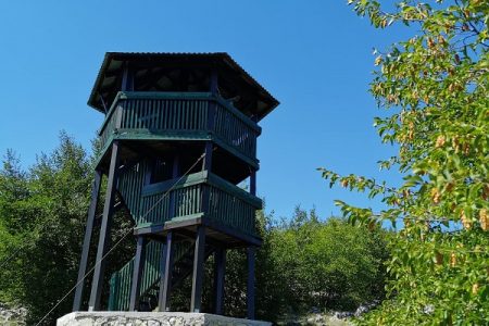 Šumski toranj na Grabovači sada je i osmatračnica za ptice