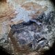 Speleoterapija- prvi put u Hrvatskoj u Pećinskom parku Grabovača