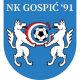 Nogometaši Gospića 91 odigrali protiv Ližnjana 3:3