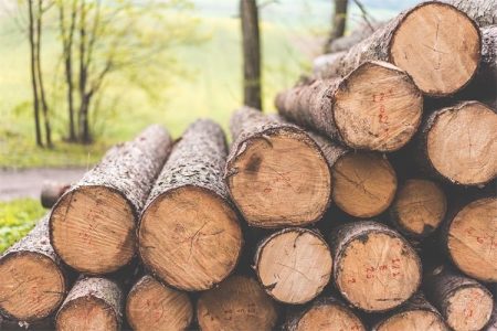 Poticajne mjere Ministarstva poljoprivrede za razvoj drvno-prerađivačke industrije u 2022.