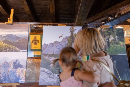 U tvrđavi Nehaj otvorena izložba fotografija hrvatskih fotografa divljine