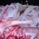 Svinjokolja se zahuktava, ne zaboravite donijeti meso na pregled na trihinelozu