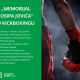 U subotu se na Plitvicama održava „Memorijal Josipa Jovića“ u kickboxingu