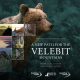 NE PROPUSTITE: U petak 24.3. od 17 sati u kinu Korzo premijerno će biti prikazan kratki dokumentarni film “A new path for the Velebit mountains”