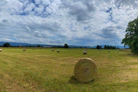 POZIV na obveznu izobrazbu poljoprivrednika – korisnika potpore za eko sheme, proizvodno vezana plaćanja (PVP), IAKS mjere i mlade poljoprivrednike iz Strateškog plana ZPP RH 2023. – 2027.