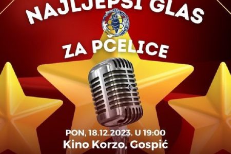 Večeras u Gospiću šesti po redu humanitarni koncert “Najljepši glas za Pčelice”