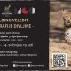 Poziv na izložbu „Rewilding Velebit – fotografije divljine“ u Otočcu