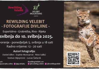 Poziv na izložbu „Rewilding Velebit – fotografije divljine“ u Rijeci