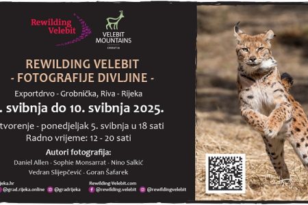 Poziv na izložbu „Rewilding Velebit – fotografije divljine“ u Rijeci