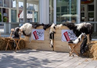 Održan 6. The Coklje Fest u Otočcu